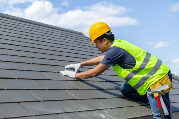 Best Storm Damage Roof Repair  in Alton, TX
