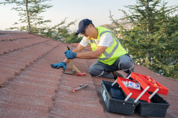 Best Roof Gutter Cleaning  in Alton, TX